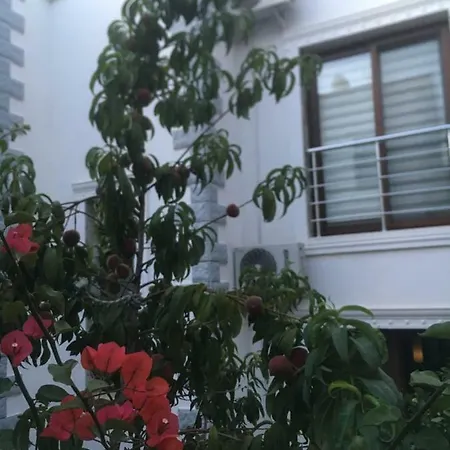 Villada Tatil וילה